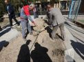 گزارش تصویری مراسم روز درختکاری